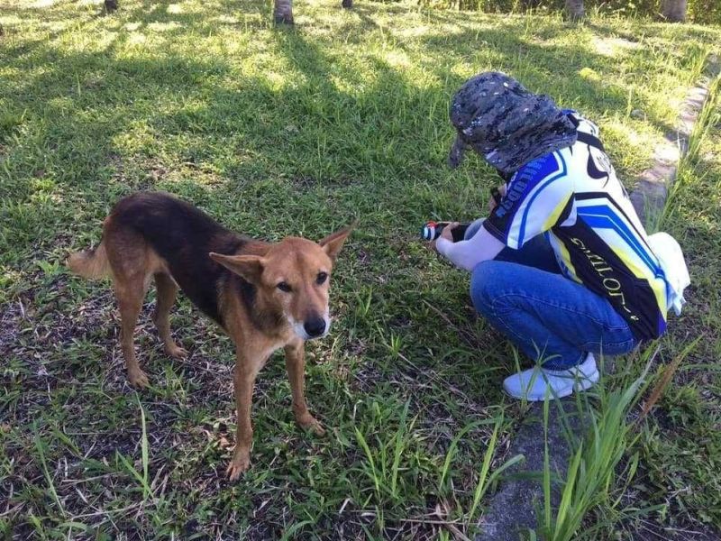 ▲(圖/明志科大動物生命關愛社授權)
