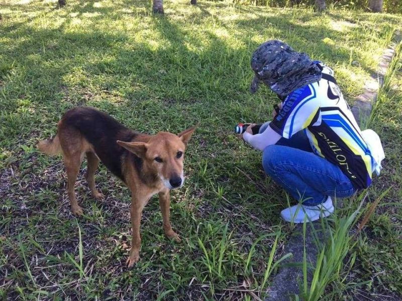 ▲（圖／明志科大動物生命關愛社授權）