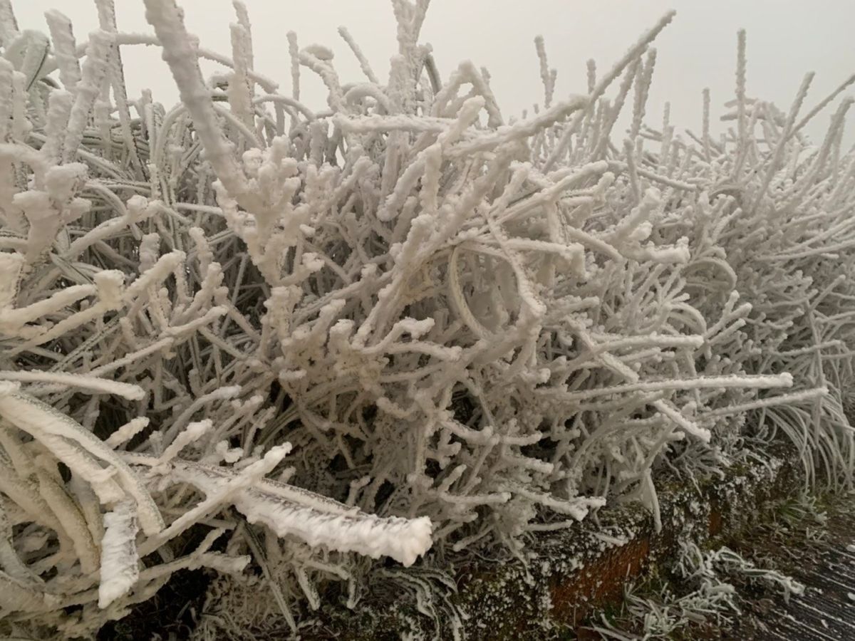 ▲宜蘭太平山清晨近6點，氣溫為-6.2度，太平山國家森林遊樂區結起霧淞銀白一片。（圖／擷取自太平山國家森林遊樂區臉書，勻馨、信偉攝影）