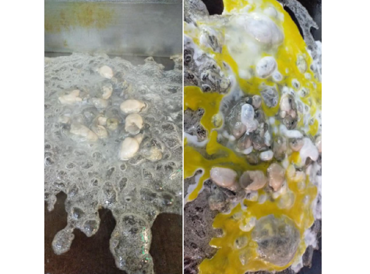 ▲一名小吃攤老闆透露，昨（30）日有一對情侶點了2份蚵仔煎內用，但他才煎到一半，對方就起身做了「1舉動」，讓他既傻眼又心寒。（圖／翻攝自臉書社團《爆怨公社》）