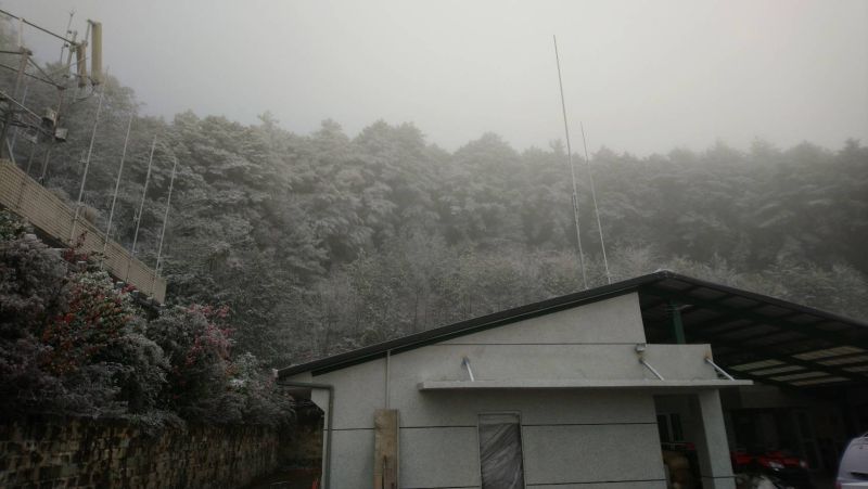 ▲向陽國家森林遊樂區31日下冰霰,台東林管處表示,大約凌晨兩點開始下冰霰,一直下到早上9點多。(圖/台東林管處提供)