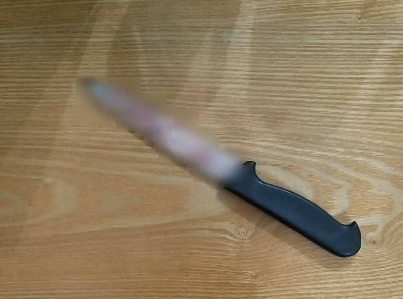 ▲李婦持刀殺死丈夫後,情緒激動地自戕。(圖/記者陳聖璋翻攝)