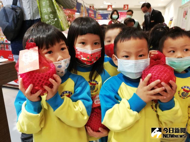 ▲弘前巿蘋果果型與幼兒的臉差不多大。(圖/記者邱嘉琪攝,2020.12.31)