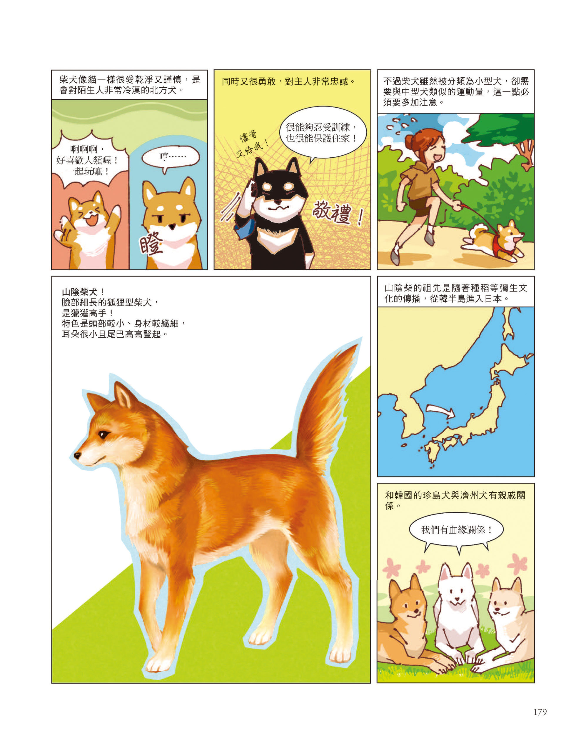 柴犬是日本的天然紀念物　《犬的誕生》一覽柴柴的身世之謎　《犬的誕生》一覽柴柴的身世之謎