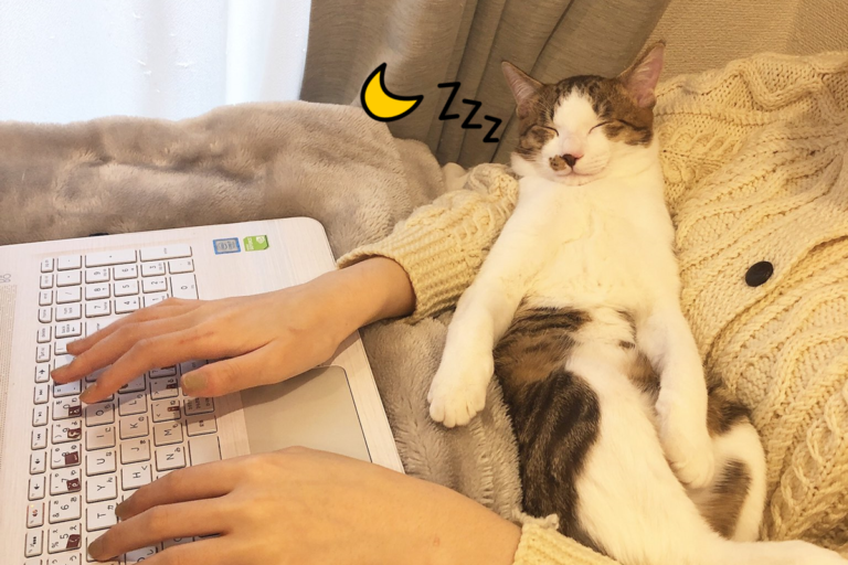 推主在家工作，沒想到竟被貓干擾！（圖／Twitter@mitsu_muku0704）