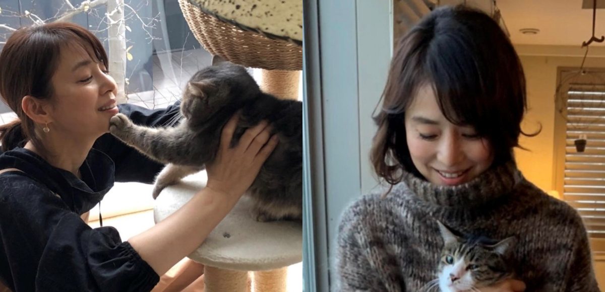 ▲50歲的石田百合子樂享單身生活，與寵物們窩豪宅。（圖／石田百合子instagram）