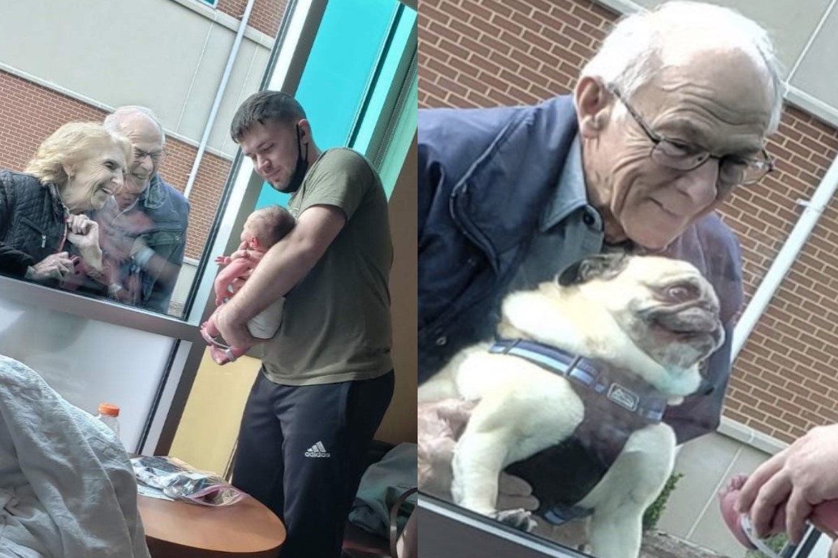 巴哥犬與爺爺奶奶開心地探望小嬰兒（圖／twitter@briannalhaynes）