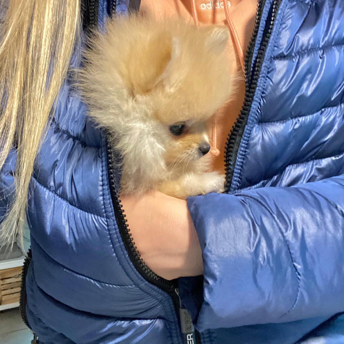 換一件外套包，也是非常OK！（圖／Instagram＠miffytinypom）