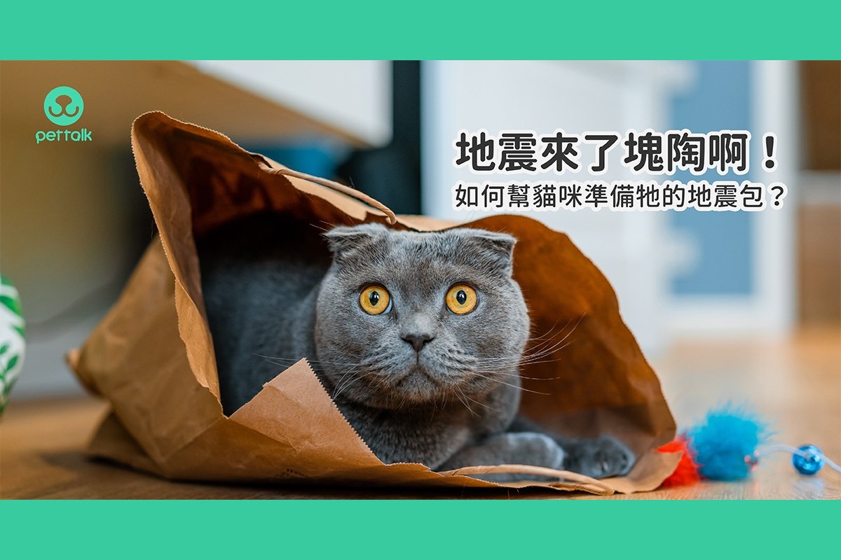 （圖／PetTalk提供）