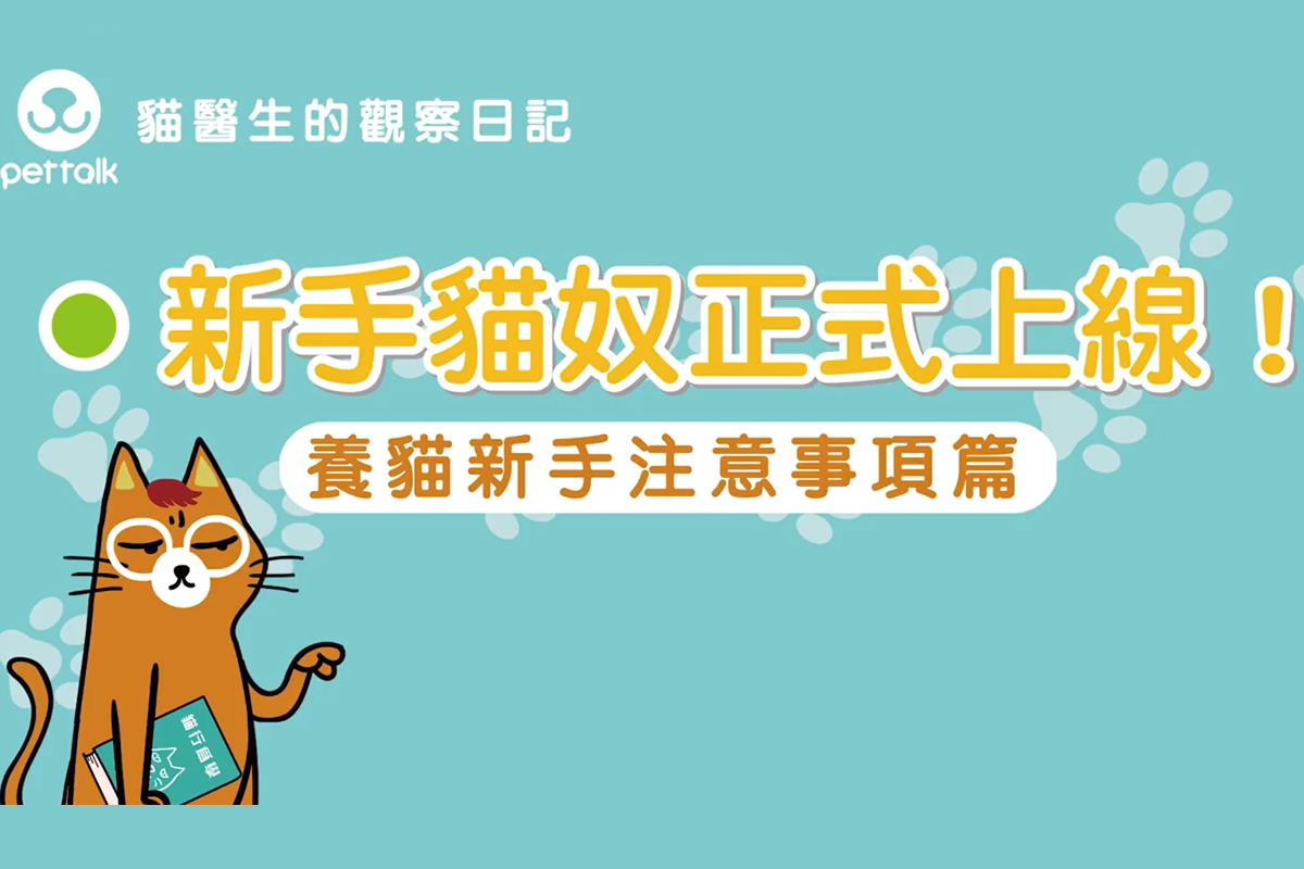 呼叫即將成為新手貓爸媽們，有哪些注意事項是你忽略的呢？（圖／PetTalk）