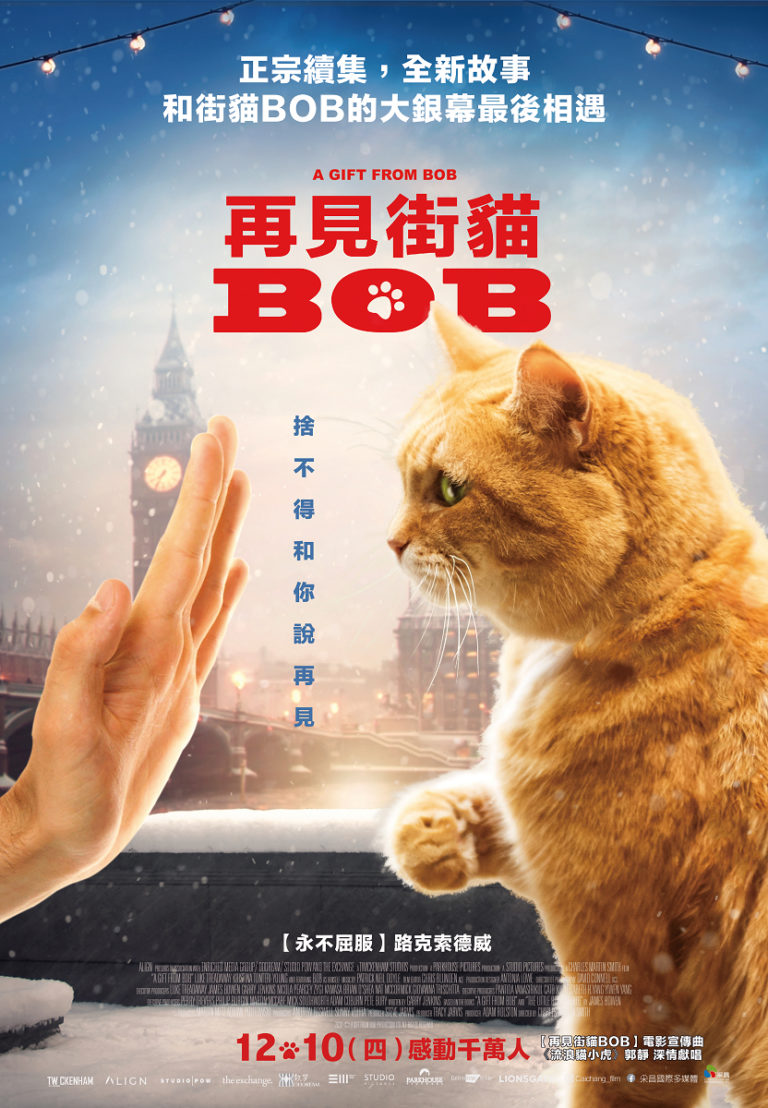 《再見街貓BOB》一睹BOB最後可愛身影　貓奴：還不看爆！