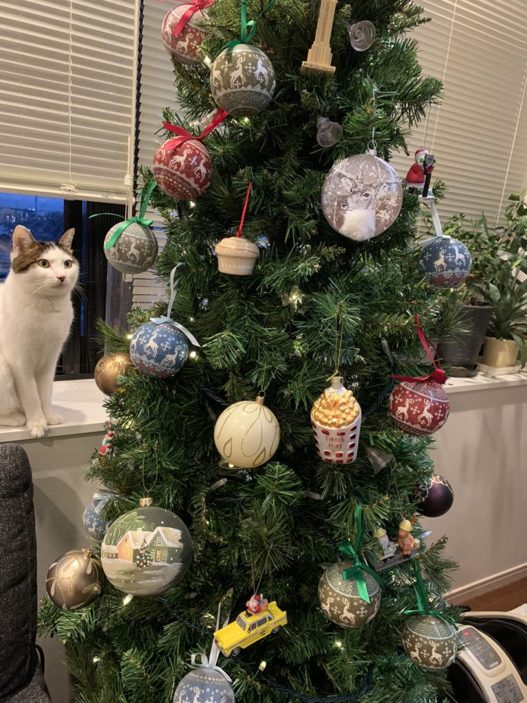 貓主子盯著聖誕樹「思考喵生」　主人嘆：不要打壞主意！