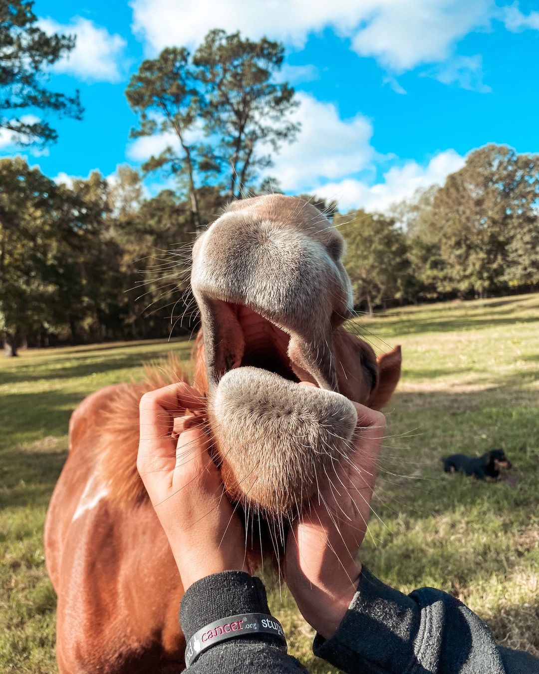 94這邊～～繼續～～繼續～～（圖／Instagram@ropinyates）