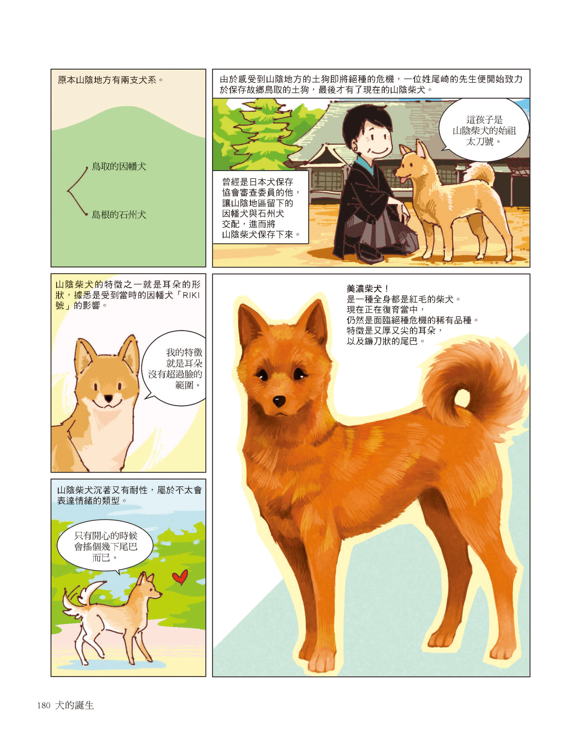 柴犬是日本的天然紀念物　《犬的誕生》一覽柴柴的身世之謎　《犬的誕生》一覽柴柴的身世之謎