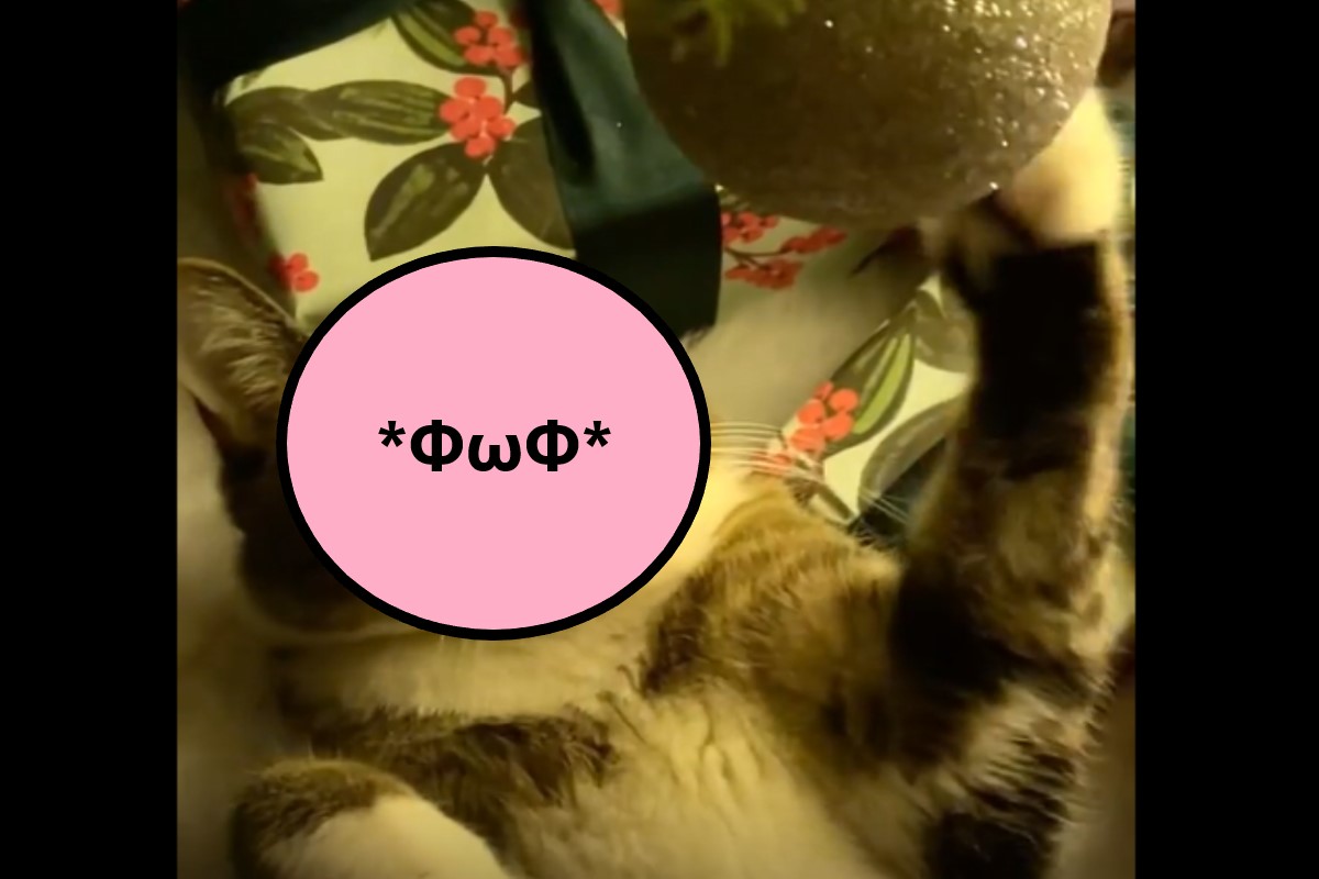 白底虎斑貓在聖誕樹下玩球球的表情讓人融化！（圖／IG@juicee.cat）