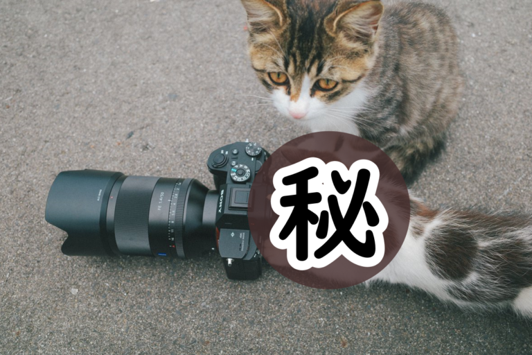 日本一名攝影師，沒想到竟「反被小貓拍」（圖／Twitter@gaga_numa）
