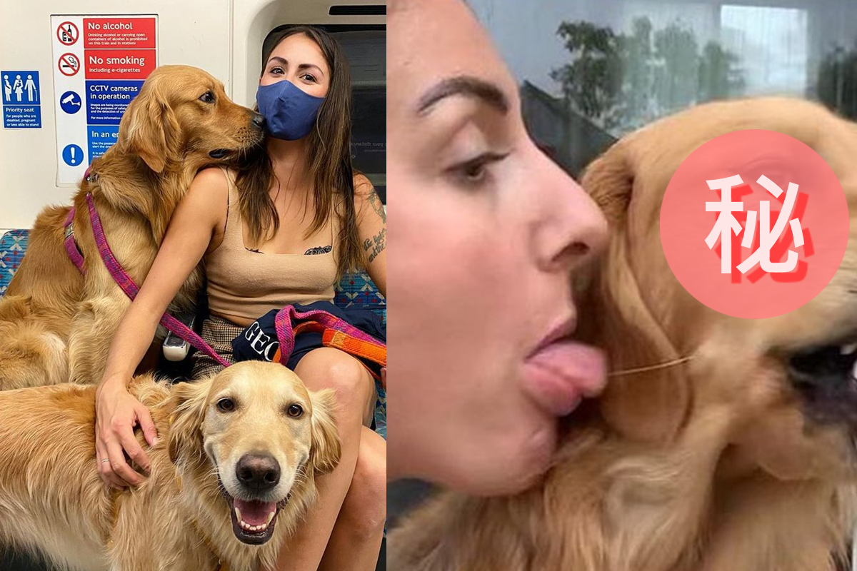 被親後主人熱情回舔阿金，下秒狗狗「超嫌棄表情」笑翻網友！（圖／Instagram＠hugoandursula）