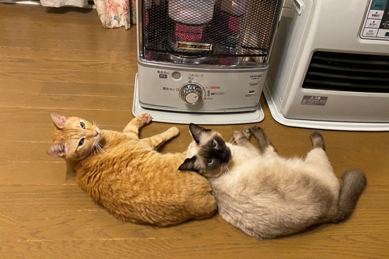 冬天到了兩隻貓爽佔暖爐前「搖滾區」取暖！（圖／Twitter@Oa1Un）