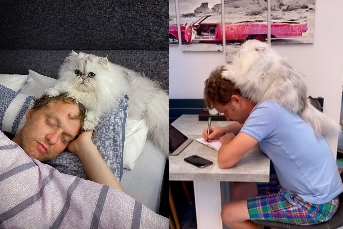 買什麼貓窩？這才是貓貓最舒適的王座！（圖／Instagram＠eric_and_ollie_）