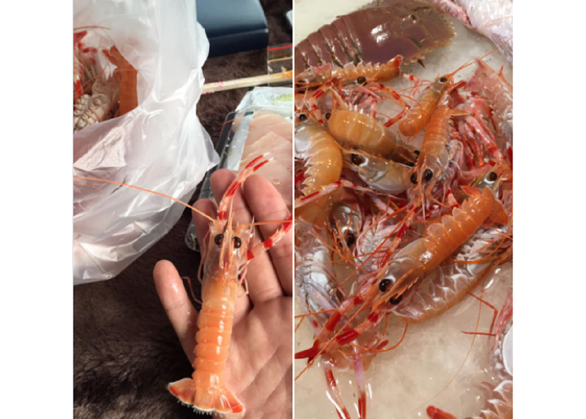 ▲有網友PO出自己在東港市場買的「硬殼蝦」，跪求這種蝦的真實名稱，結果內行一看隨即秒解，大讚「鮮甜又好吃」。（圖／翻攝自臉書社團《爆系知識家》）