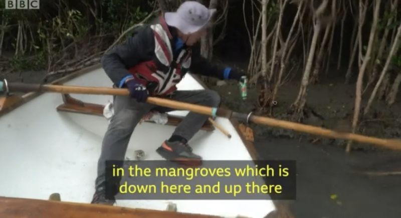▲▲英國帆船玩家彼得·洛伊(Peter Lowe)因疫情被困在台灣。(圖|翻攝自BBC影片)