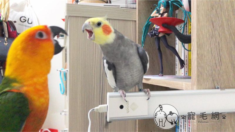 ▲泥揍開!辜負我感情的負心漢!(圖/FB@泥氏系列授權)
