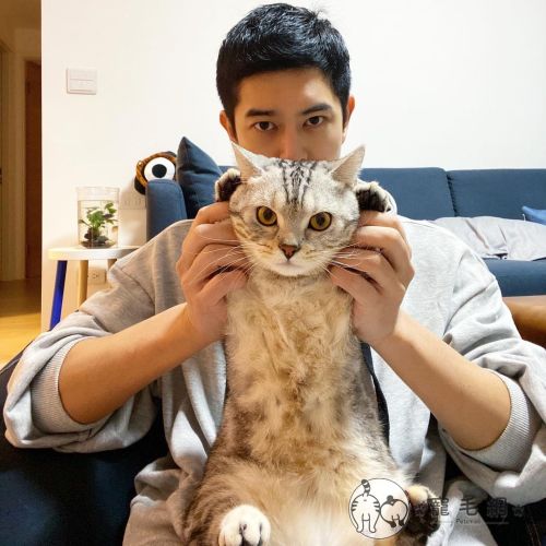 ▲唬迪手手就只有這麼長!(舉手)(圖/Instagram@edison_yang_yang)