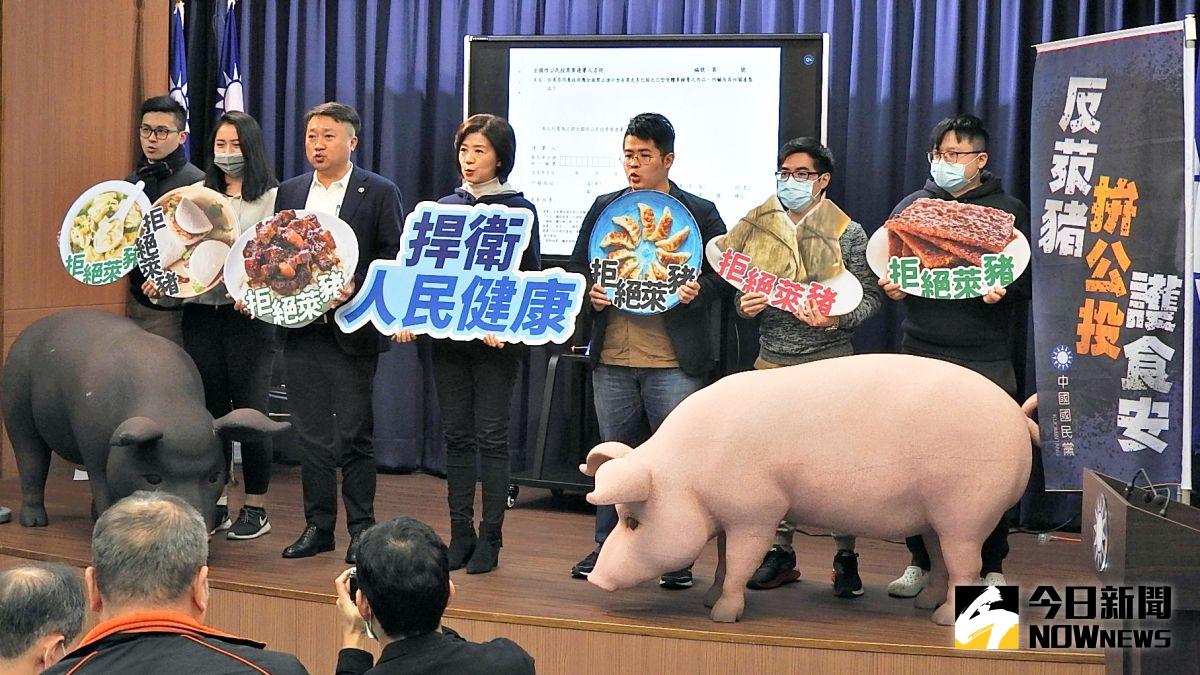 ▲國民黨「食安 (反萊豬)」、「公投綁大選」兩項公投連署活動將從9日起登場，全國已設置4千多個「友善連署點」。（圖／記者陳弘志攝，2021.1.7）