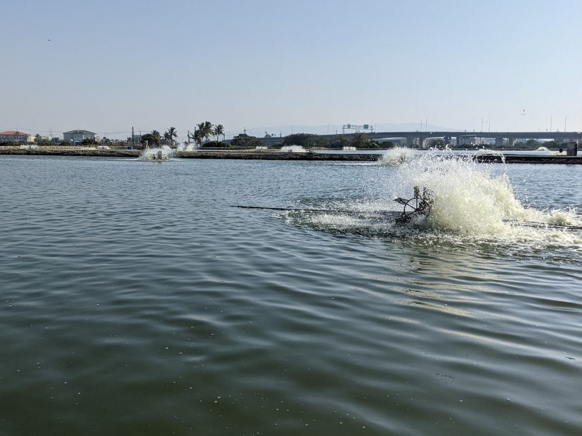 ▲高雄市政府海洋局籲請養殖漁民做好防寒措施。(圖／記者黃守作攝，2021.01.07)