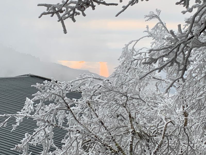 ▲太平山晚間近7時降下初雪。（圖／太平山國家森林遊樂區）