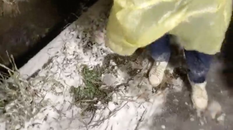 ▲現場追雪畫面曝光。(圖/翻攝自臉書《天氣風險