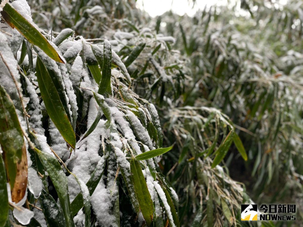 ▲受到寒流影響，今（ 8 ）、明兩日各地天氣非常寒冷，北台灣部分地區白天僅有 10 度以下。圖為大屯山景。（圖／記者陳致宇攝）