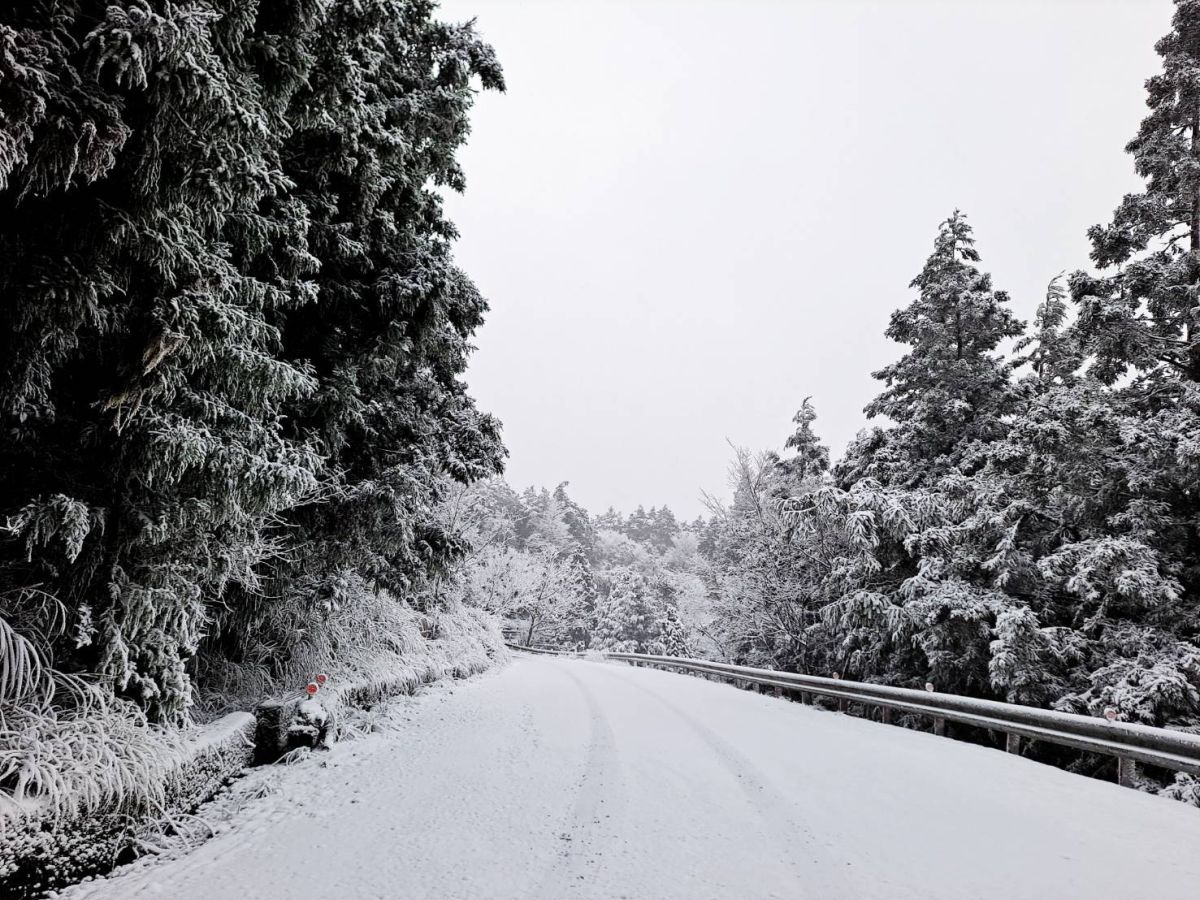 ▲強烈寒流襲台，昨晚7點多，海拔1850公尺的太平山降下今年度的首場瑞雪，太平山莊更是降下睽違三年以來的第一場雪。（圖/羅東林管處提供）