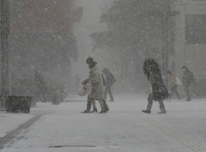 ▲日本多地近日都迎來大風雪。（圖／美聯社／達志影像）