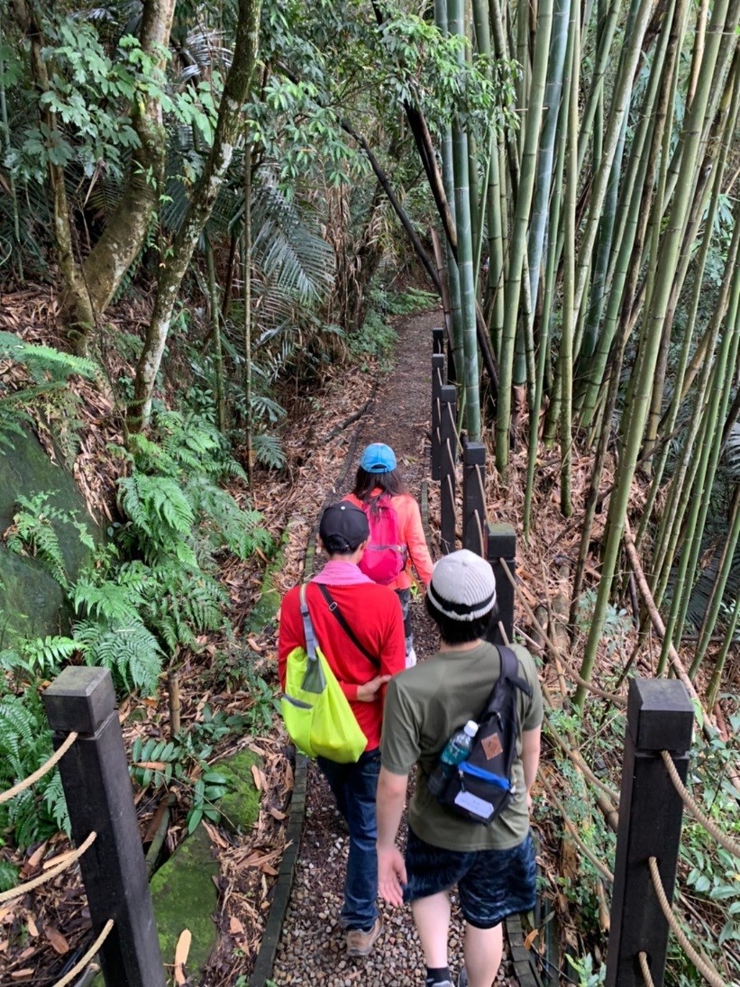 ▲中市和平區的雙崎部落「埋伏坪步道」是泰雅族人過去的獵徑古道，落葉飄落更呈現不同風貌，讓人感受不一樣的美(圖／觀旅局提供2021.1.10)