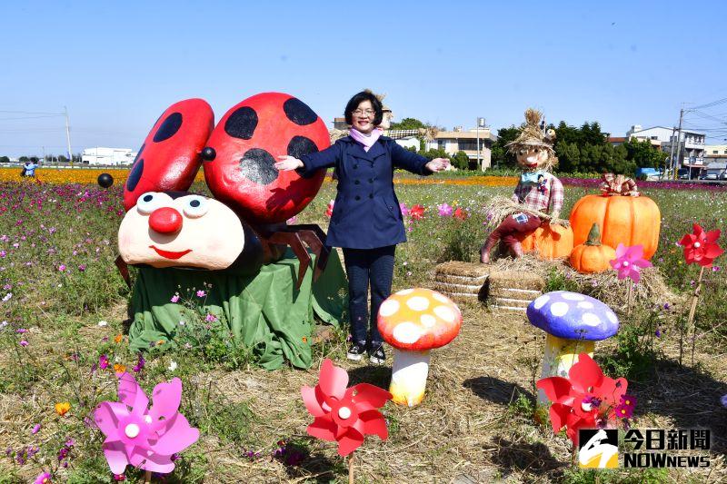 ▲被喻為彰化五大賞花祕境「南新花海藝術節」熱鬧開幕。(圖/記者陳雅芳攝,2021.01.09)