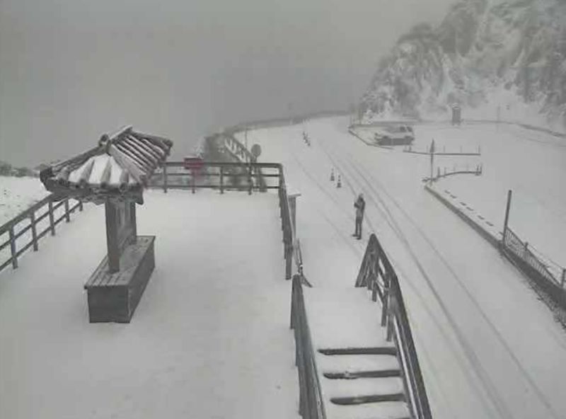 合歡山又降雪！清晨「夢幻畫面」曝　網驚嘆：樓梯快不見
