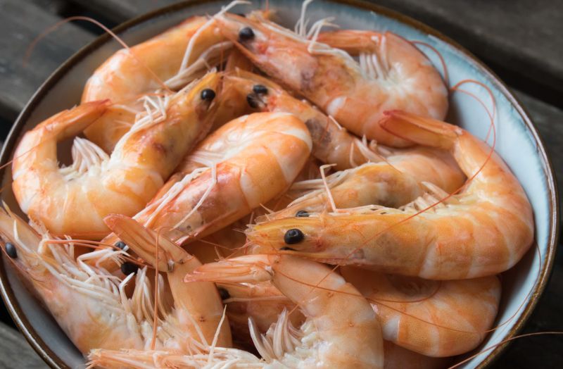 什麼品種的蝦子最好吃？老饕答案一面倒：整隻能吃超划算
