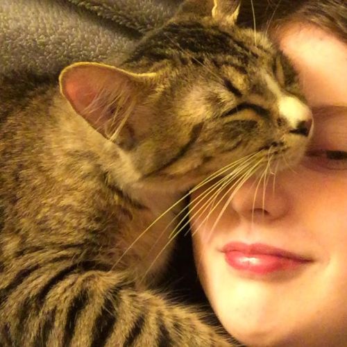 ▲抱抱～（圖／Instagram＠squishy_cat_hq）