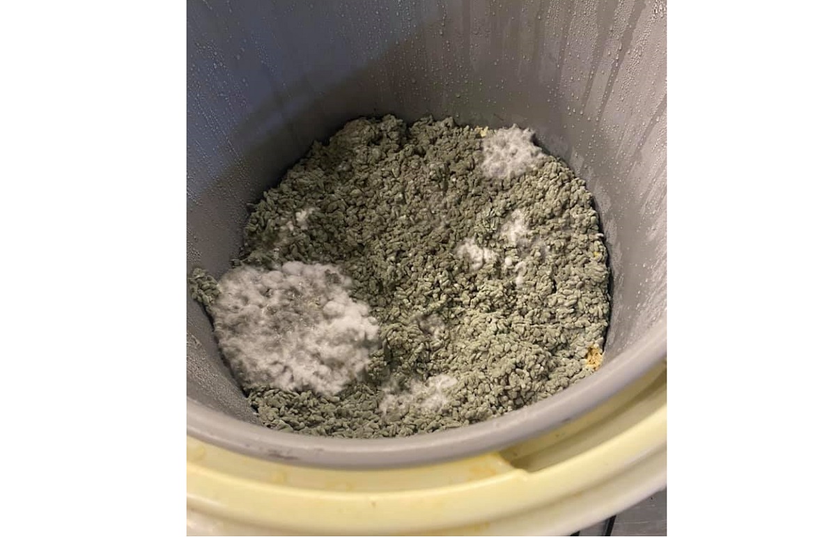 ▲一名餐廳老闆透露，自己1個月前用「備用電鍋」煮白飯，事後，忘記裡面還有飯就收起來，怎料近日拿出卻驚見「這畫面」，讓他超崩潰。（圖／翻攝自臉書社圖《爆怨公社》）