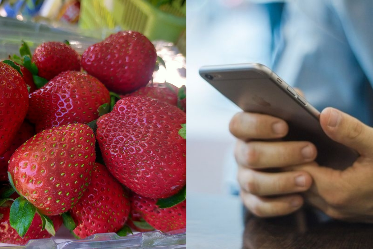 ▲有網友帶曖昧對象到自家農場參觀，沒想到對方接下來的行為，卻讓他相當傻眼。（示意圖／翻攝自《爆怨2公社》及《pixabay》 ）