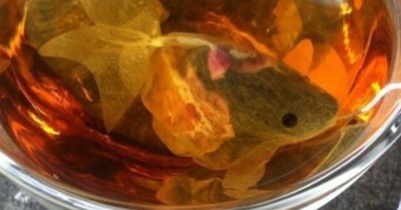 ▲可愛生動的小設計被浸泡在熱水中後，配上橘黃色的茶水，打造出金魚在小水杯裡遊玩的錯覺。（圖／Ivana