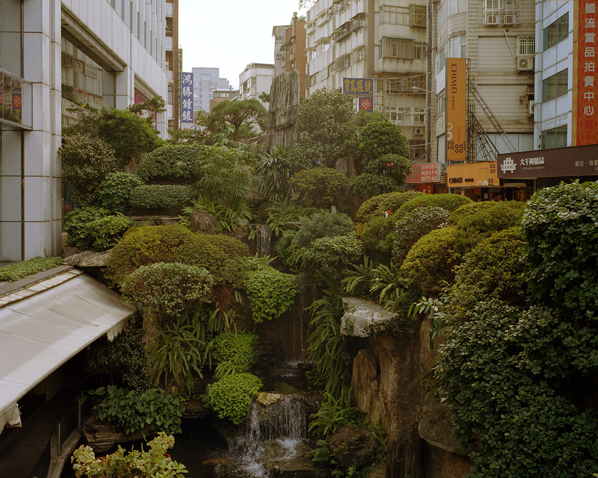 ▲Andreas Mass是一位德國攝影師，於2015年來台灣時將此畫面捕捉在相機上，引來網友熱烈回應。（圖／Andreas Mass提供)