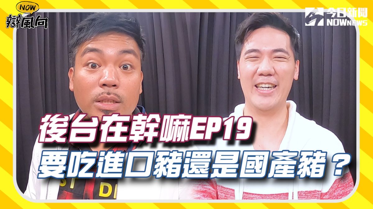 ▲要吃進口豬還是國產豬呢？藝人在後台有什麼想說的？（圖／影像中心製作）