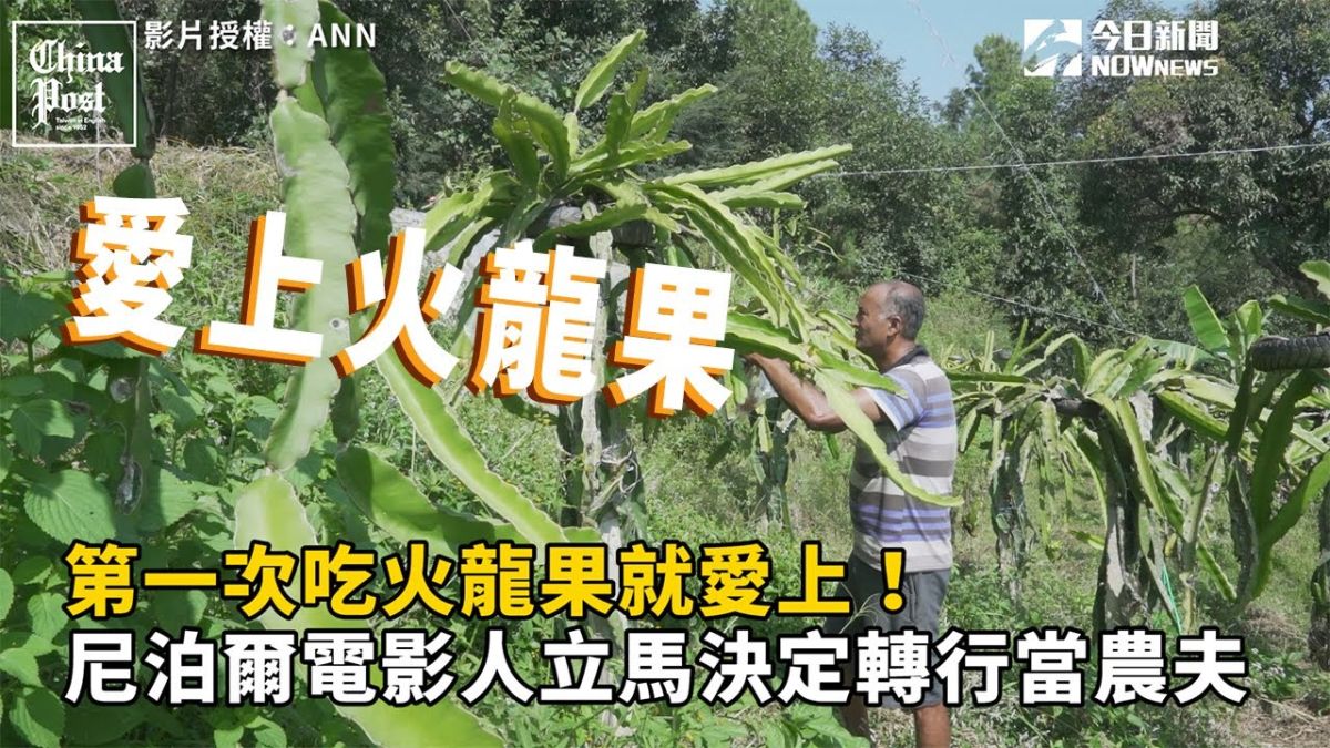 ▲曾經參與製作超過20多部電影的尼泊爾電影製人 Bhesman Shrestha 在四年前決定轉行投入農業，嘗試在尼泊爾種植「火龍果」。（圖／ANN）