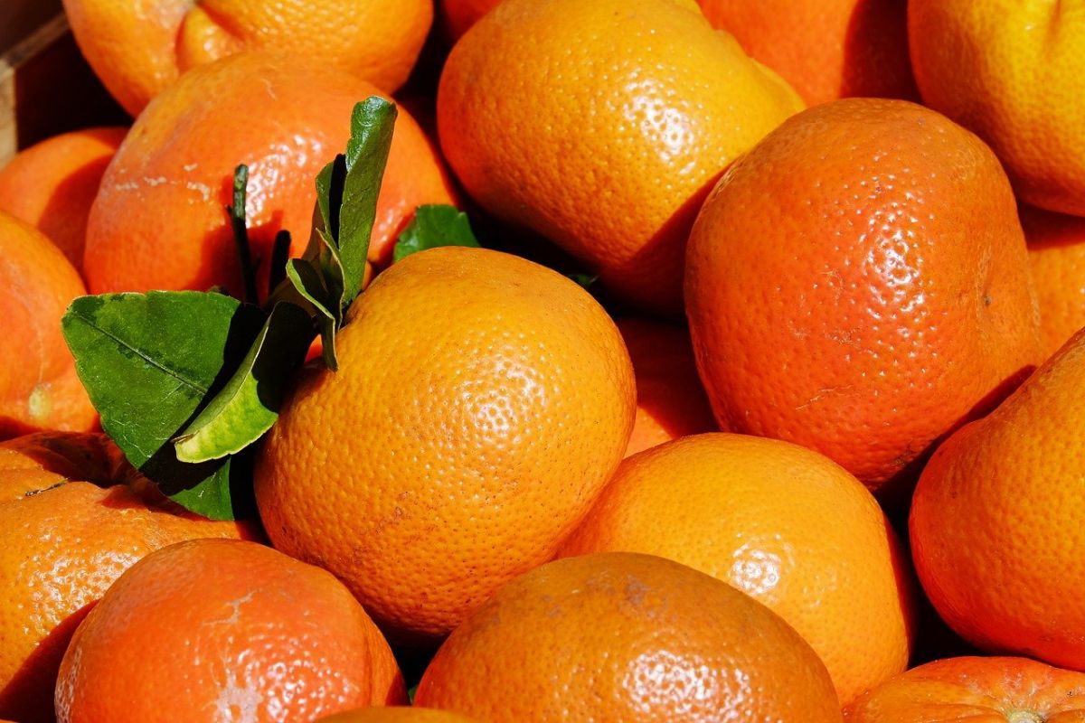 ▲橘子富含豐富維生素，秋冬正是產季。（示意圖／翻攝自pixabay）