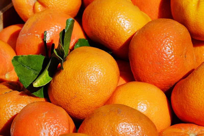 ▲橘子。（圖／取自pixabay）