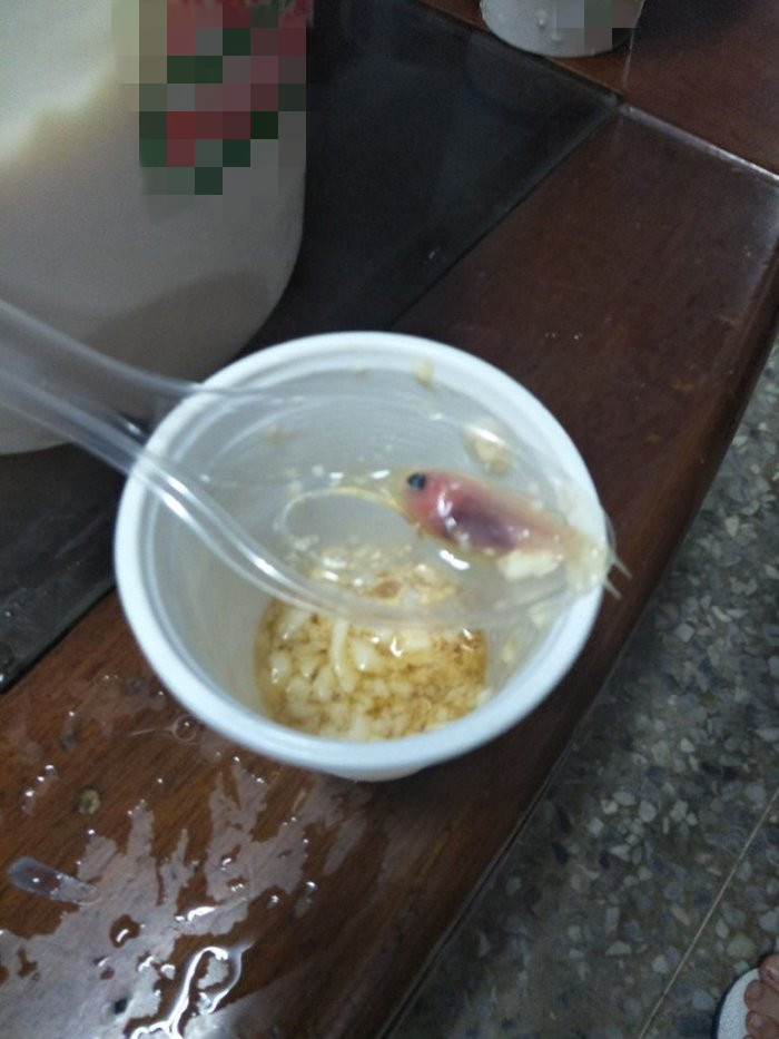 ▲男網友吃豆花竟驚見一條完整的粉色小魚。（圖／翻攝自Dcard）