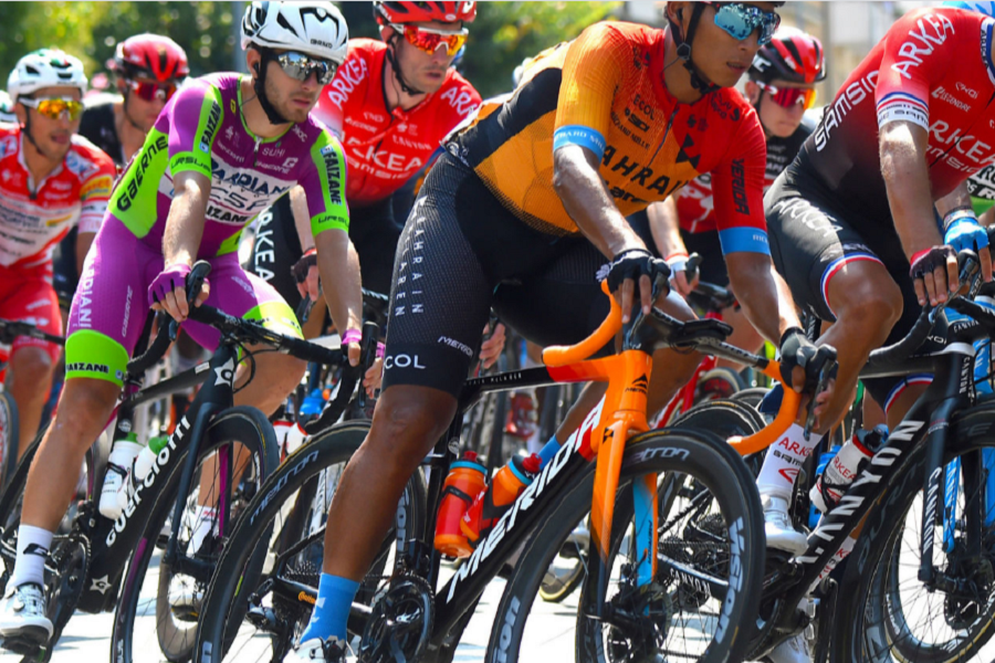 ▲美利達自行示意圖(美利達網站)