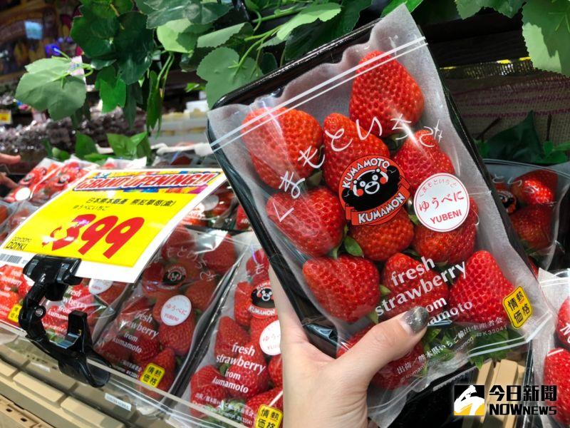 ▲日本大型連鎖零售店唐吉訶德來台展店，新鮮熊本草莓一盒400元有找。（圖／記者劉雅文拍攝）